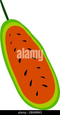Half of curuba, illustration, vector on white background. Stock Vector