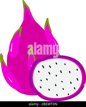 Dragon fruit in half, illustration, vector on white background. Stock Vector