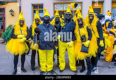 Participants in the Rottweil Carnival in Rottweil , Germany