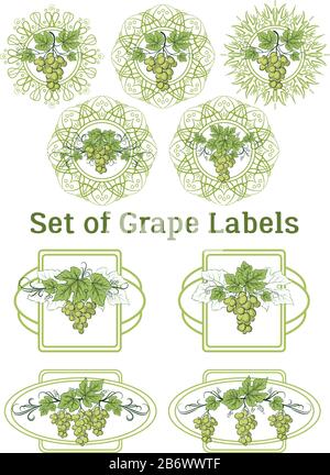 Set of Grape Labels Stock Vector