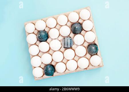 A lot of white eggs and a few painted in blue are in the container on the light blue background. Top view. Easter concept. Stock Photo