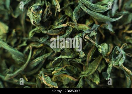 Close-up - collection of dried green tea leaves . Stock Photo