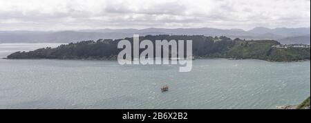 WELLINGTON, NEW ZEALAND - November 13 2019: aerial cityscape with panoramic view from Mount Victoria hill of Maupuia promontory green slopes on Evans Stock Photo