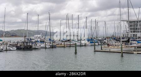 WELLINGTON, NEW ZEALAND - November 13 2019: cityscape with sail boats at quays of leisure harbor on Orient bay, shot in bright cloudy spring light on Stock Photo