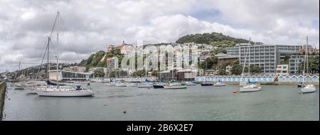 WELLINGTON, NEW ZEALAND - November 13 2019: cityscape with moored boats, boathouses on shore on Orient bay with Mount Victoria hill traditional houses Stock Photo