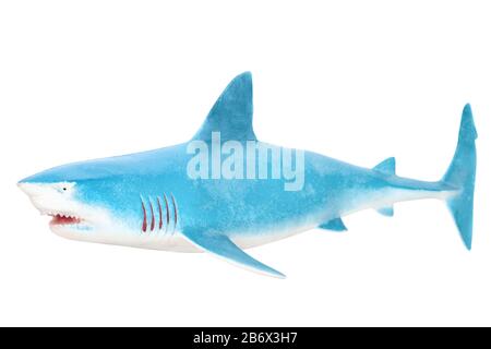 Shark toy. Isolated on white background without shadow. Shark on white bg. Plastic sailfish plaything. Stock Photo