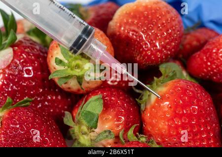 a genetic modification of fruits and vegetables. Stock Photo