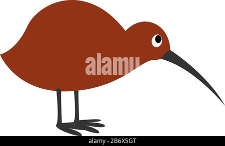 Kiwi bird, illustration, vector on white background. Stock Vector