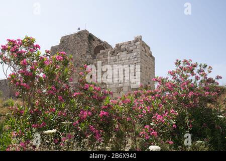 View of Byblos Castle. Byblos, Lebanon - June, 2019 Stock Photo