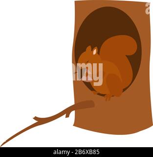 Squirrel on a tree, illustration, vector on white background. Stock Vector