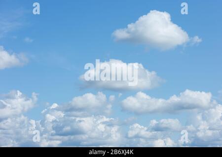 A large cluster of white Cumulus clouds in a blue sky. Stock Photo