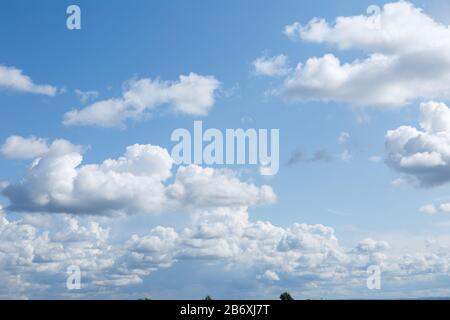 A large cluster of white Cumulus clouds in a blue sky. Stock Photo