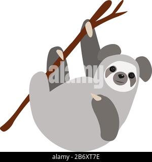 Koala on tree, illustration, vector on white background. Stock Vector