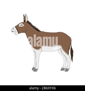Cute Donkey Vectoral Illustration. White Background Isolated. Stock Vector