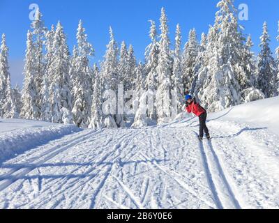 Boy resting on his cross country ski poles in winter wonderland of Trysil, Norway Stock Photo