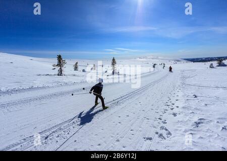 Young child speeding along cross country tracks at high altitude on a bright and sunny day Stock Photo