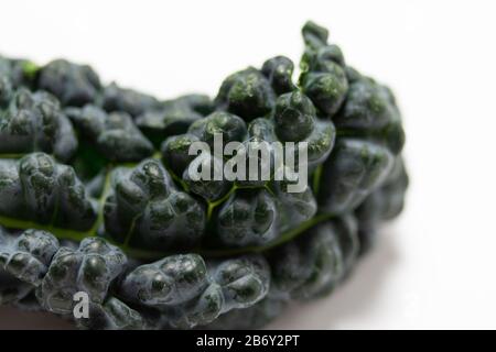 close up macro shot of detail of a lacinato kale leaf, also called flat kale, dinosaur kale, Tuscan kale or Italian kale Stock Photo