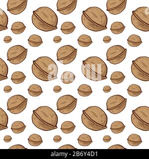 Walnut pattern, illustration, vector on white background. Stock Vector