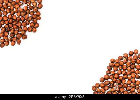 Hazelnuts nuts isolated on a white background with copy space. Dried peeled nuts Stock Photo