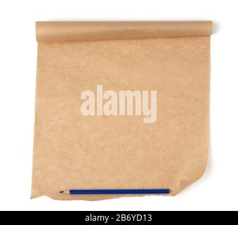 curled roll of brown parchment paper with curled edges and blue wooden pencil isolated on a white background, place for an inscription, element for a Stock Photo