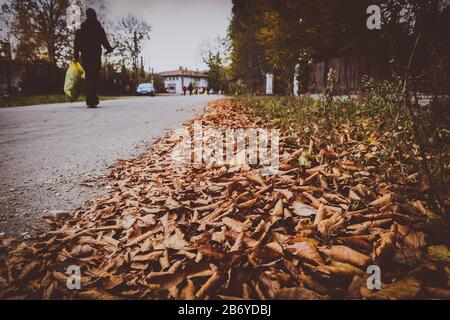 Vintage closeup view of fallen leaves with man walking on the road carrying a bag of litter Stock Photo