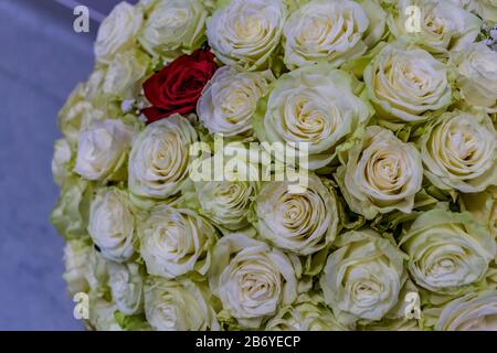 Closeup of large bouquet of white roses with a red rose in the center Stock Photo