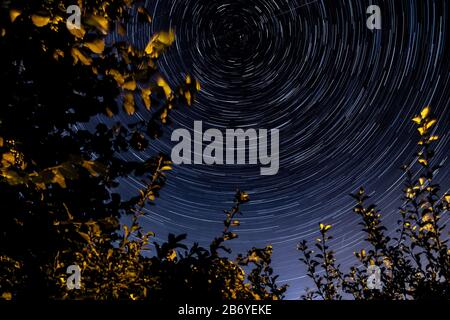 Star trails near the north star above a tree garden in the summer Stock Photo