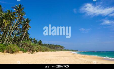 Sandy deserted paradise beach with palm trees on the ocean. Stock Photo