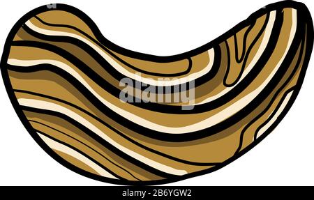 Cashews drawing, illustration, vector on white background. Stock Vector