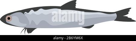 Engraulis fish, illustration, vector on white background. Stock Vector