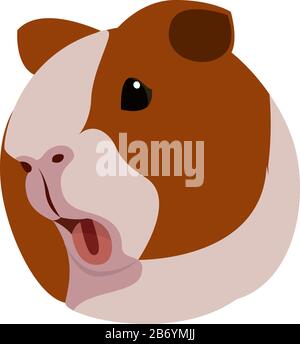 Guinea pig, illustration, vector on white background. Stock Vector