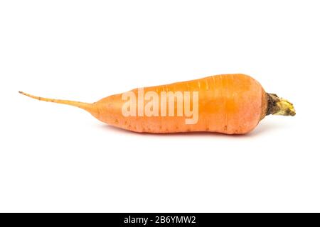 Carrot close-up isolated on white Stock Photo