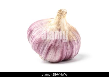 Garlic bulb isolated on white background Stock Photo