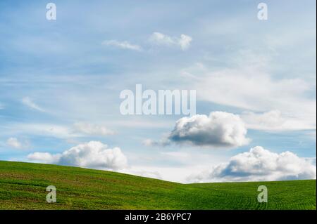 Minimalist with copyspace of rolling green hill under big sky with clouds lit by the setting sun. Stock Photo