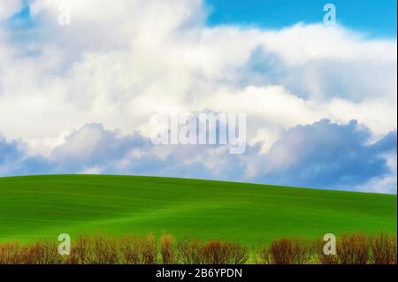 Copyspace available in this minimalist image of rolling green agricultural fields under cloudy skies.  Tops of a line of trees, devoid of leaves, is i Stock Photo