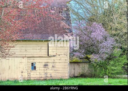Spring colors spruce up an old barn yard.