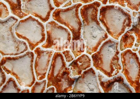 Texture of red and white calcium carbonate full screen as a substrate, background. Travertine texture, thermal spring of the city of Pamukkale in Turk Stock Photo