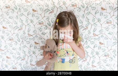 A little girl caught a flu infection and sneezes into a handkerchief. An allergic runny nose in a child caused by an allergy to pollen. Symptoms of th Stock Photo
