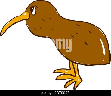 Sad kiwi the bird, illustration, vector on white background Stock ...