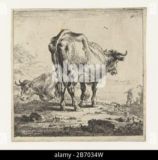 Cow Seen From Behind And Cow On A Slope, Nicolaes Pietersz Berchem ...