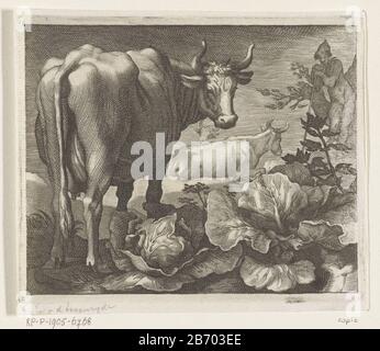 Koeien Pastoralen (serietitel) Cows Pastoralen (series title) Property Type: picture Item number: RP-P-1905-6768Catalogusreferentie: Hollstein Dutch 325Opmerking: kopieRoethlisberger 136Opmerking: copy marking / Brands: collector's mark, verso center, stamped: Lugt 2228 Manufacturer : to print from: Boëtius Adamsz. Bolswertnaar design: Abraham Bloemaert Print Author: anonymous Date: 1611 - 1661 Physical characteristics: engra material: paper Technique: engra (printing process) Measurements: sheet margin: h: 116 mm × W 141 mmToelichtingKopie in mirror image to print in series with fourteen prin Koeien Pastoralen (serietitel) Cows Pastoralen (series title) Property Type: picture Item number: RP-P-1905-6768Catalogusreferentie: Hollstein Dutch 325Opmerking: kopieRoethlisberger 136Opmerking: copy marking / Brands: collector's mark, verso center, stamped: Lugt 2228 Manufacturer : to print from: Boëtius Adamsz. Bolswertnaar design: Abraham Bloemaert Print Author: anonymous Date: 1611 - 1661 Physical characteristics: engra material: paper Technique: engra (printing process) Measurements: sheet margin: h: 116 mm × W 141 mmToelichtingKopie in mirror image to print in series with fourteen prin
