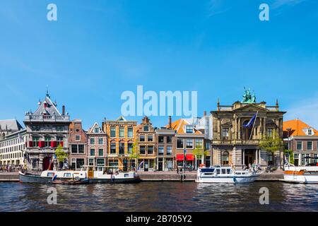 Netherlands, North Holland, Haarlem. Buildings along the Spaarne River, including the Teylers Museum (right). Stock Photo