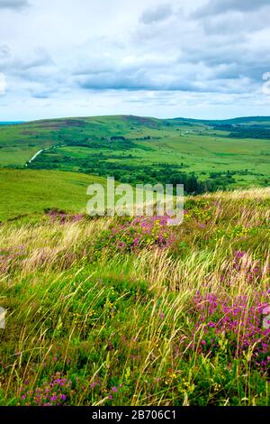 France, Brittany, Finistere. View from Mont Saint-Michel de Brasparts in the Monts d'Arree, Parc naturel regional d'Armorique. Stock Photo