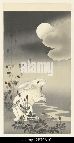 Konijn bij volle maan White rabbit sitting on the hind legs, in a partially hidden full moon behind clouds . Manufacturer : printmaker: Ohara Koson (listed building) publisher: Matsuki HeikichiPlaats manufacture: printmaker: Japan Publisher: Tokyo Date: 1900 - 1930 Physical characteristics: color woodblock; line block in black with color blocks material: paper Technique: color woodblock dimensions: image: H 342 mm × W 189 mm Stock Photo