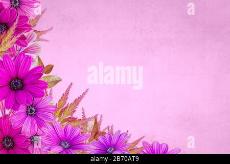 Floral assorted pink flower border on pink background. Flower background  Springtime Stock Photo - Alamy