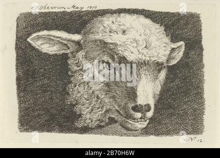 Kop van een lam Studies van koeien, schapen en geiten (serietitel) Head of a lamStudies of cows, sheep and goats (series title) Property Type: print Serial number: 12 / 20Objectnummer: RP-P-1877-A 377 Inscriptions / Brands: collector's mark, verso, stamped: Lugt 2228 Manufacturer : printmaker Anthony Oberman (listed property) Place manufacture: Amsterdam Date: May 1810 Physical features: etching material: paper Technique: etching dimensions: plate edge: h 115 mm × W 172 mm Subject: lamb