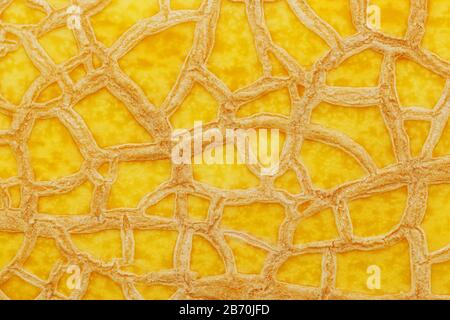The peel of a ripe yellow melon with texture tracks, full screen. Melon variety torpedo Stock Photo