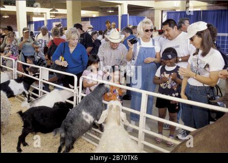 Dallas, Texas USA, October 2001: Children's barnyard area in the livestock pavilion at the State Fair of Texas, where kids of all ages pet and hold goats, pigs, and other farm animals. ©Bob Daemmrich Stock Photo