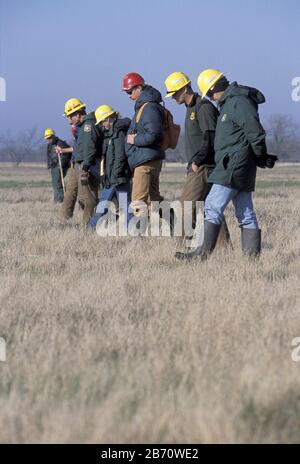East Texas, February 2003: Searchers use grid method on field as they look for debris from wreckage of the space shuttle Columbia near Corsicana in Navarro County.  ©Bob Daemmrich Stock Photo