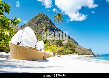 Sugar beach Saint Lucia , a public white tropical beach with palm trees and luxury beach chairs on the beach of the Island St Lucia Caribbean